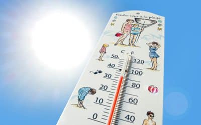 How to Keep Your House Cool in a UK Heatwave
